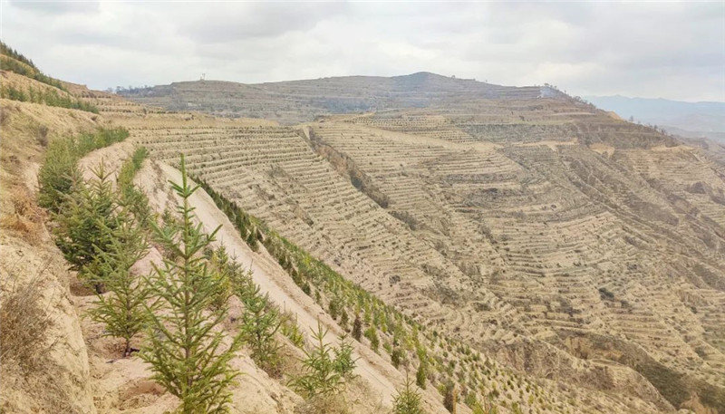 640 (3).jpg 640 (3).jpg